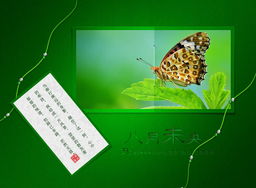 八月未央，致竹子1975 一場圖文設計的原創之約